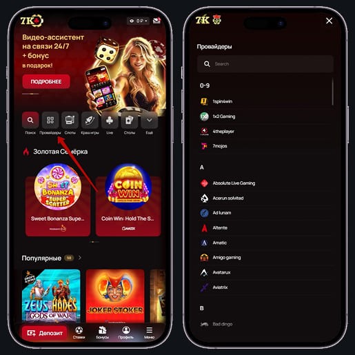 Разработчики софта